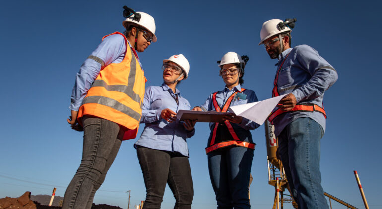 Construtibilidade em construção industrial